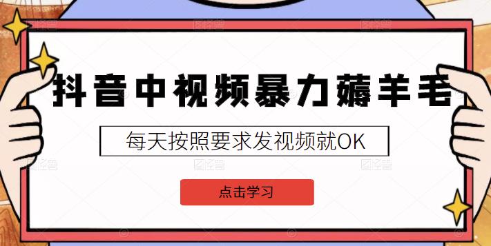 2022抖音中视频暴力薅羊毛白嫖项目：新号每天20块，老号几天几百块，可多号￼-云泽轻创网