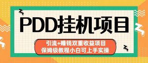 拼多多挂机项目 引流+赚钱双重收益项目(保姆级教程小白可上手实操)-云泽轻创网