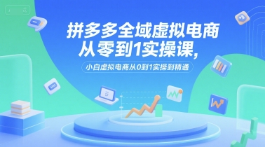 拼多多全域虚拟电商从零到1实操课，小白虚拟电商从0到1实操到精通-云泽轻创网
