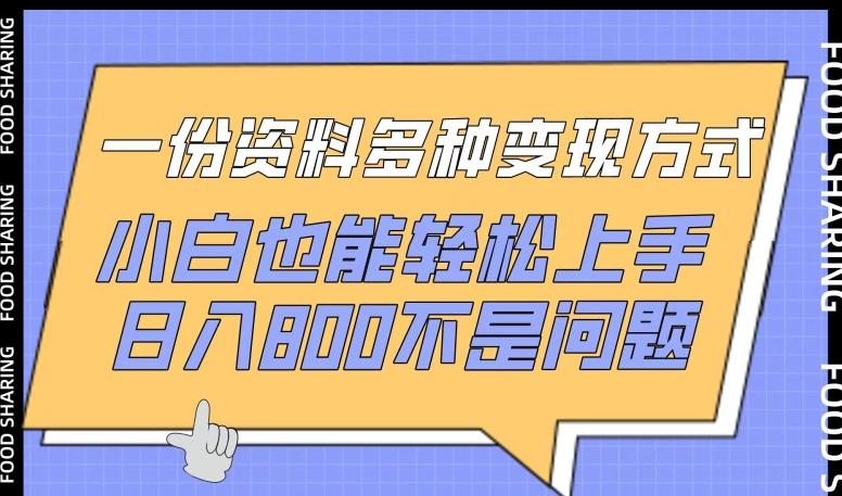 一份资料多种变现方式，小白也能轻松上手，日入800不是问题【揭秘】-云泽轻创网
