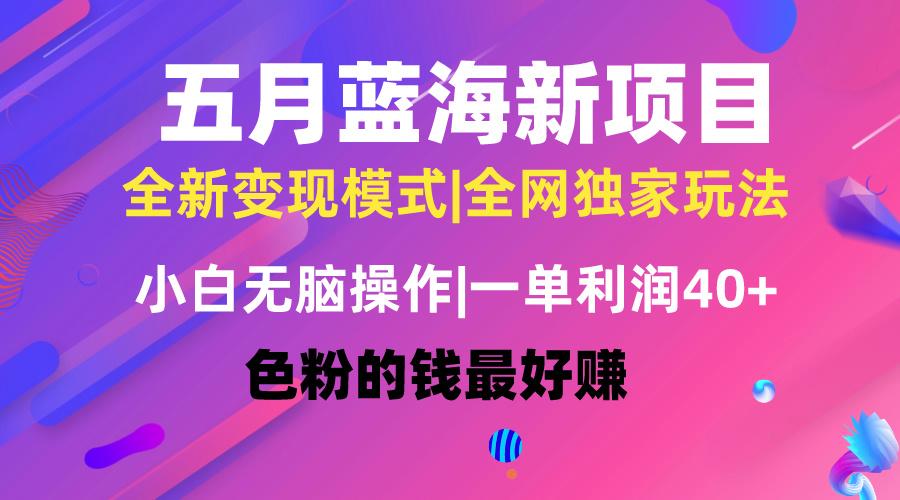 五月蓝海项目全新玩法，小白无脑操作，一天几分钟，矩阵操作，月入4万+-云泽轻创网
