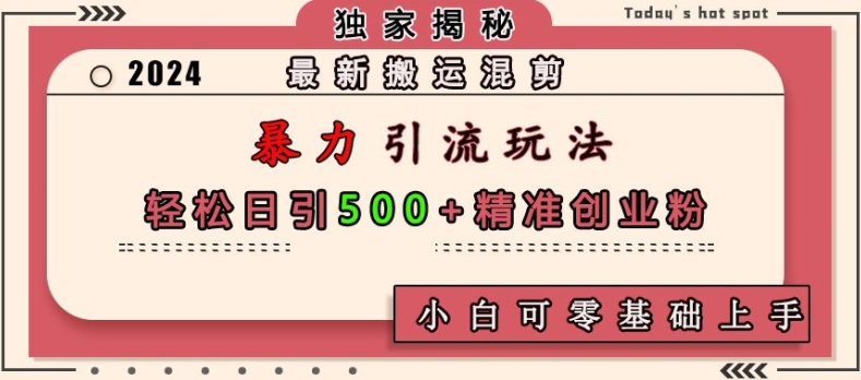 最新搬运混剪暴力引流玩法，轻松日引500+精准创业粉，小白可零基础上手-云泽轻创网