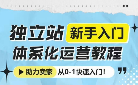 独立站新手入门体系化运营教程，助力独立站卖家从0-1快速入门!-云泽轻创网