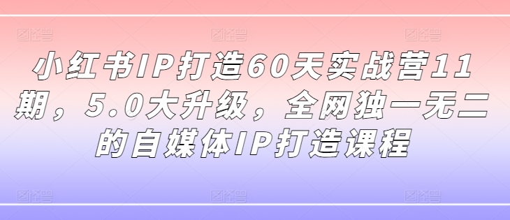 小红书IP打造60天实战营11期，5.0大升级，全网独一无二的自媒体IP打造课程-云泽轻创网