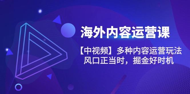 海外内容 运营课【中视频】多种内容运营玩法 风口正当时 掘金好时机-101节-云泽轻创网
