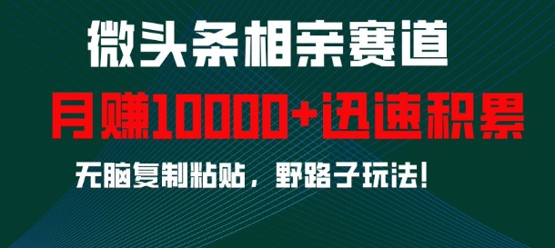 微头条相亲赛道，迅速积累，无脑复制粘贴，野路子玩法，月入1w-云泽轻创网