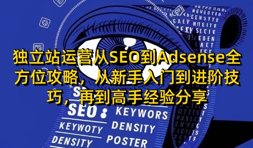 独立站运营从SEO到Adsense全方位攻略，从新手入门到进阶技巧，再到高手经验分享-云泽轻创网