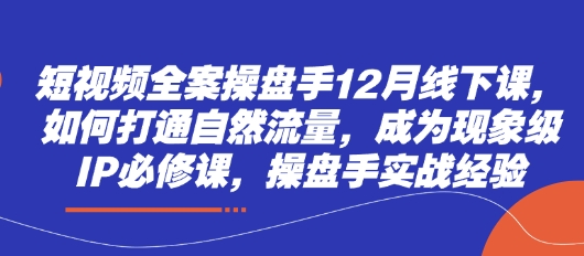 短视频全案操盘手12月线下课，如何打通自然流量，成为现象级IP必修课，操盘手实战经验-云泽轻创网