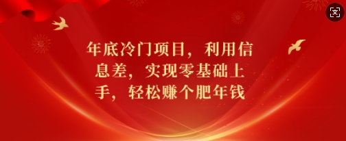 年底冷门项目，利用信息差，实现零基础上手，轻松赚个肥年钱【揭秘】-云泽轻创网