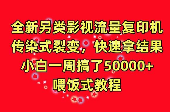 全新另类影视流量复印机，传染式裂变，快速拿结果，小白一周搞了50000+，喂饭式教程【揭秘】-云泽轻创网