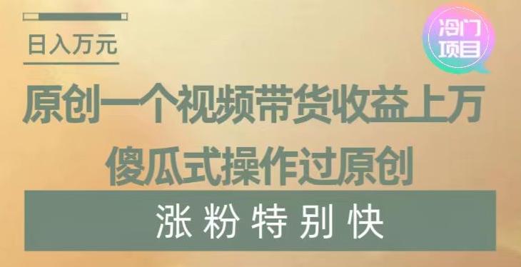 原创一个视频带货收益上万，傻瓜式操作过原创，几分钟做一个视频涨粉特别快【揭秘】-云泽轻创网