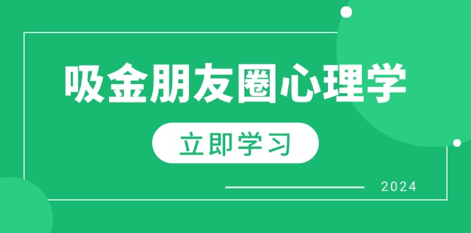 朋友圈吸金心理学：揭秘心理学原理，增加业绩，打造个人IP与行业权威-云泽轻创网
