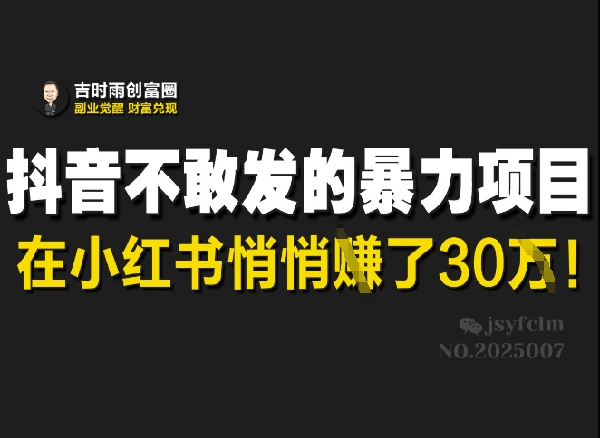 抖音不敢发的暴利项目，在小红书悄悄挣了30W-云泽轻创网
