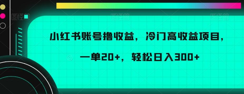 小红书账号撸收益，冷门高收益项目，一单20+，轻松日入300+【揭秘】-云泽轻创网