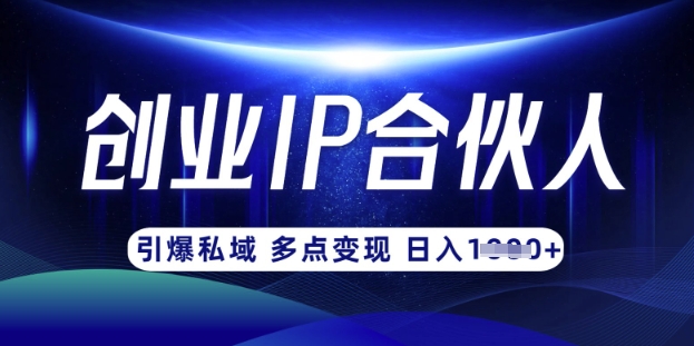 云帆·创业ip合伙人打造3.0，从0到1教你做网创，实现月入过W-云泽轻创网