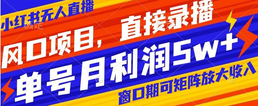 风口项目，小红书无人直播带货，直接录播，可矩阵，月入5w+【揭秘】-云泽轻创网