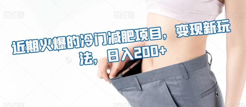 近期火爆的冷门减肥项目，变现新玩法，日入200+-云泽轻创网