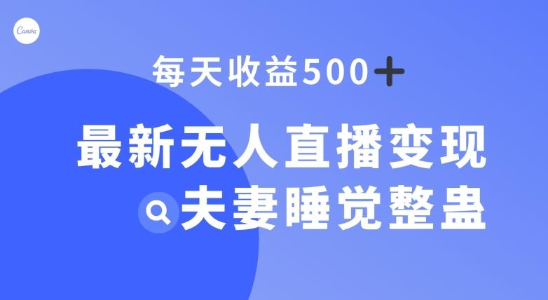 最新无人直播变现，夫妻睡觉整蛊，每天躺赚500+【揭秘】-云泽轻创网