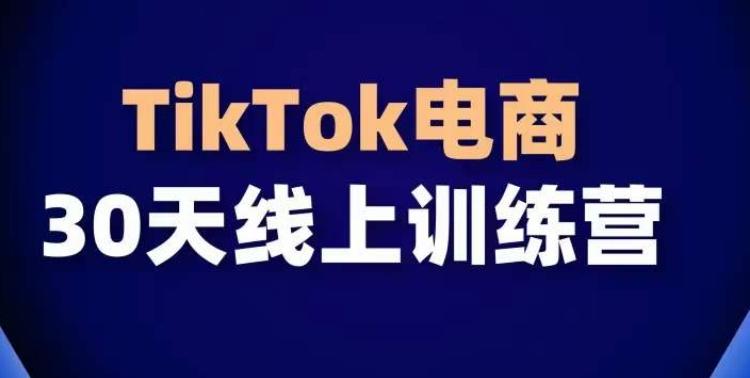 TikTok电商带货30天线上课，不可错过的全球流量洼地！-云泽轻创网