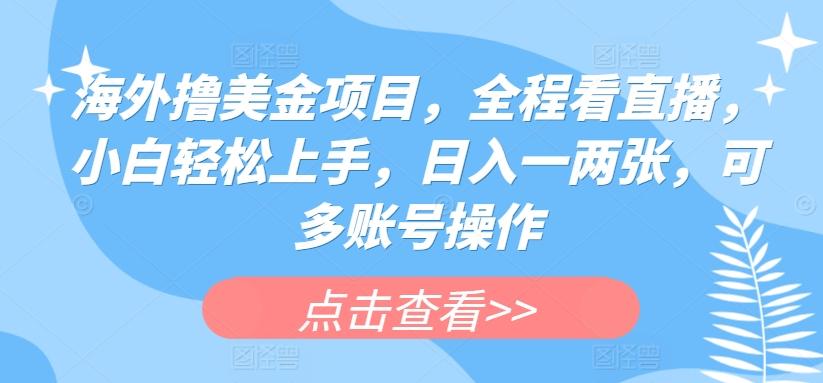 海外撸美金项目，全程看直播，小白轻松上手，日入一两张，可多账号操作【揭秘】-云泽轻创网
