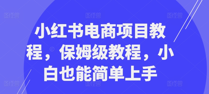小红书电商项目教程，保姆级教程，小白也能简单上手-云泽轻创网