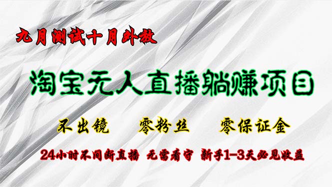 淘宝无人直播最新玩法，九月测试十月外放，不出镜零粉丝零保证金，24小…-云泽轻创网