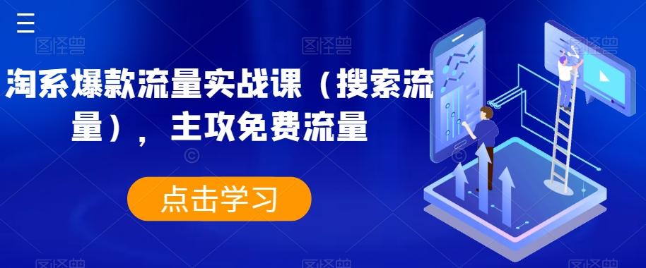 淘系爆款流量实战课（搜索流量），主攻免费流量-云泽轻创网