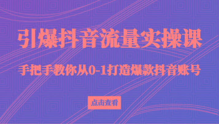 引爆抖音流量实操课，手把手教你从0-1打造爆款抖音账号(27节课)-云泽轻创网