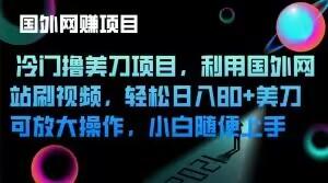 冷门撸美刀项目，利用国外网站刷视频，轻松日入80+美刀，可放大操作，小白随便上手-云泽轻创网