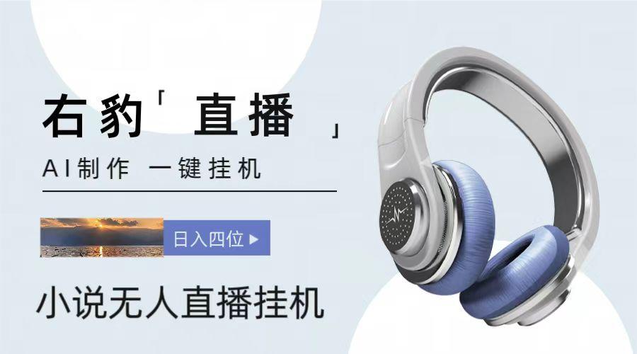 右豹小说无人直播挂机吸金项目，简单易行收益稳定， 月入1000+-云泽轻创网