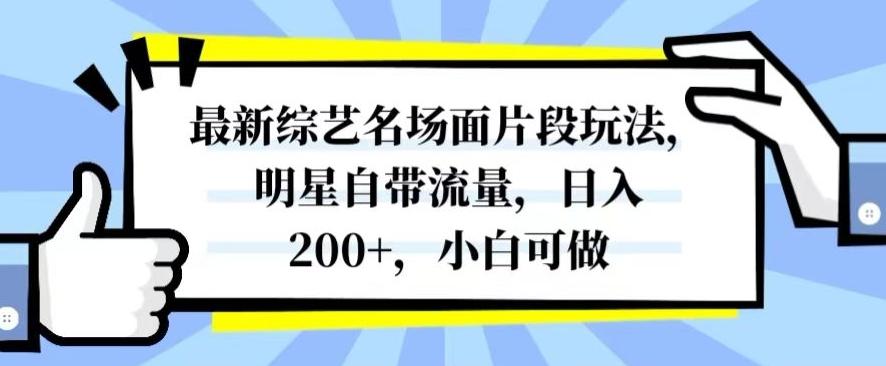 最新综艺名场面片段玩法，明星自带流量，日入200+，小白可做【揭秘】-云泽轻创网