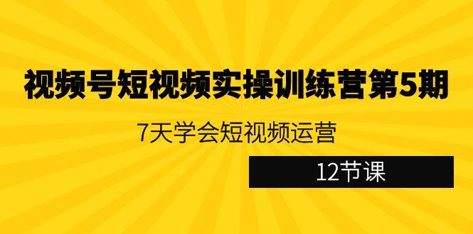 视频号短视频实操训练营第5期：7天学会短视频运营(12节课)-云泽轻创网