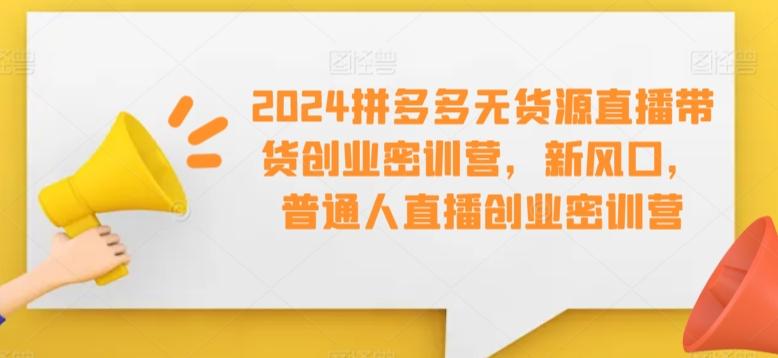 2024拼多多无货源直播带货创业密训营，新风口，普通人直播创业密训营-云泽轻创网