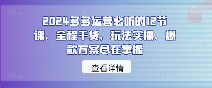 2024多多运营必听的12节课，全程干货，玩法实操，爆款方案尽在掌握-云泽轻创网