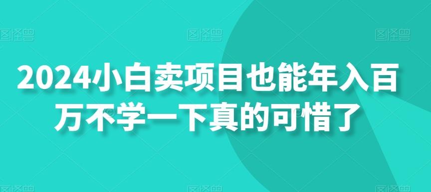 2024小白卖项目也能年入百万不学一下真的可惜了-云泽轻创网