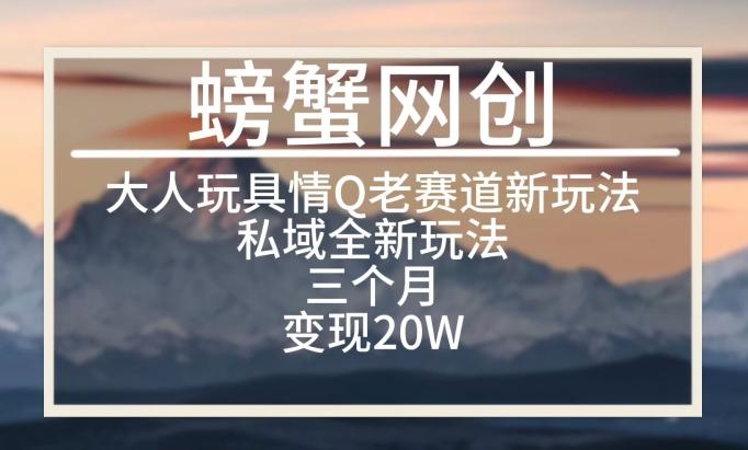 大人玩具情Q用品赛道私域全新玩法，三个月变现20W，老项目新思路【揭秘】-云泽轻创网
