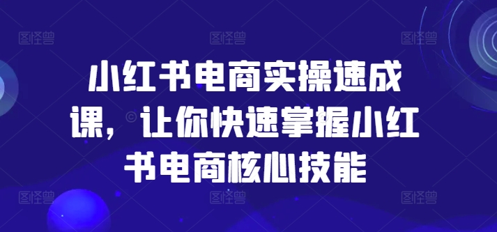 小红书电商实操速成课，让你快速掌握小红书电商核心技能-云泽轻创网