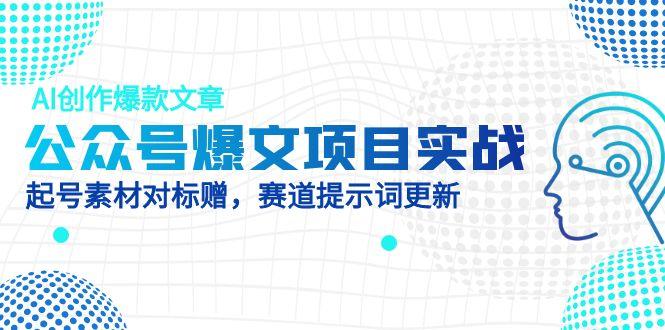 公众号爆文项目实战，AI创作爆款文章，起号素材对标赠(附赛道AI提示词-云泽轻创网