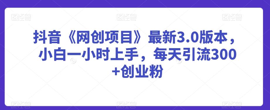 抖音《网创项目》最新3.0版本，小白一小时上手，每天引流300+创业粉【揭秘】-云泽轻创网