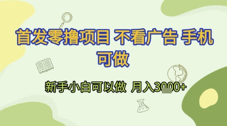 首发零撸项目 不看广告 手机可做 新手小白可以做  月入3k+【揭秘】-云泽轻创网