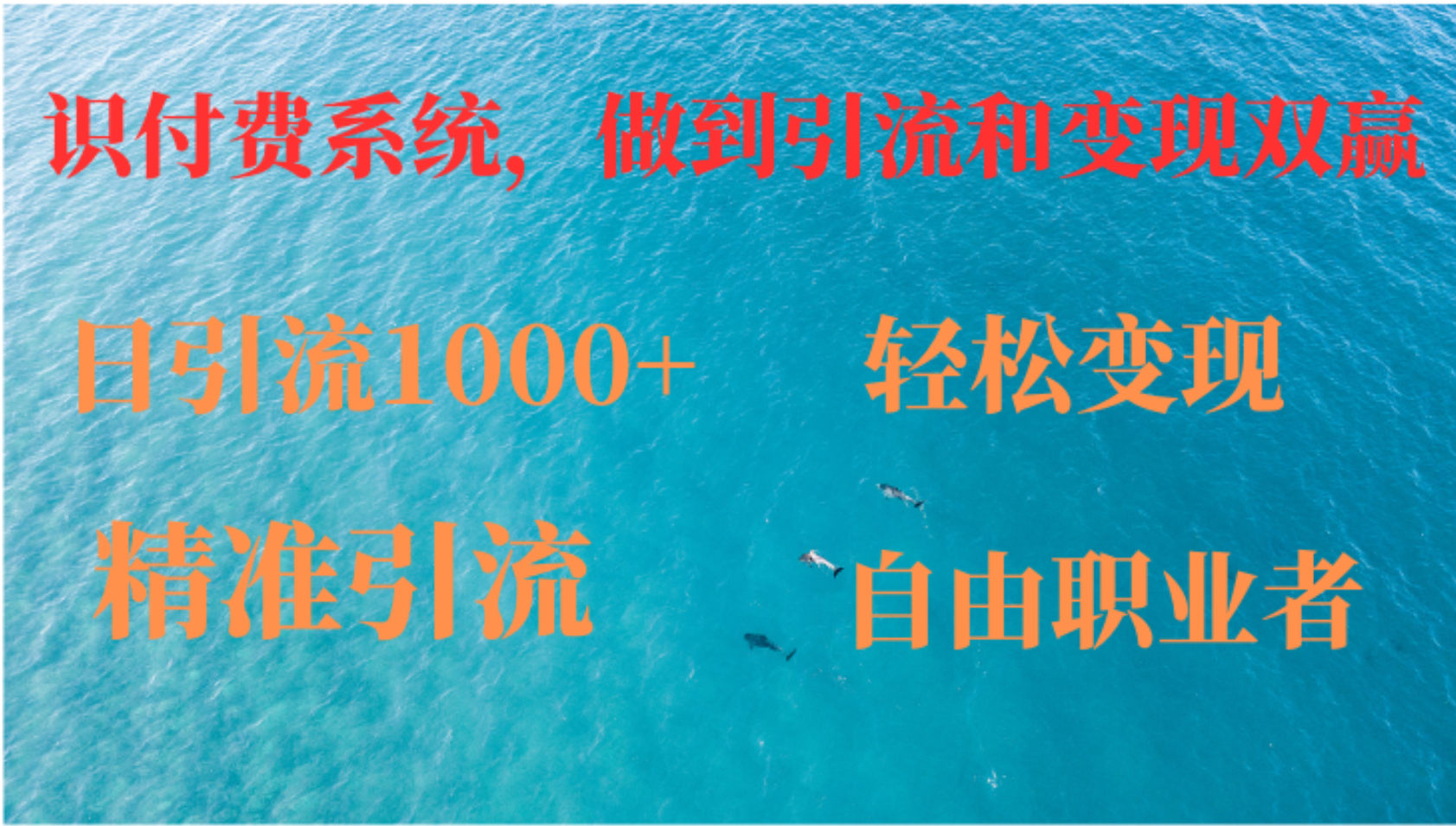 如何搭建自己的知识付费系统，做到引流和变现双赢-云泽轻创网