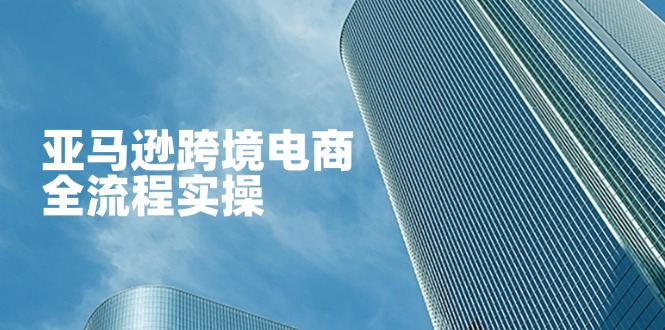 亚马逊跨境电商全流程实操，教你从零开始，掌握店铺运营与广告技巧-云泽轻创网