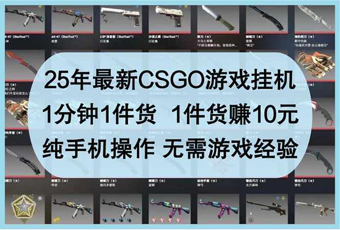 25年最新CSGO游戏挂机，1分钟1件货，1件货赚10元 纯手机操作 无需游戏经验-云泽轻创网