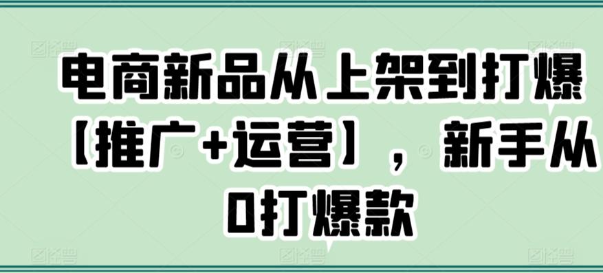 电商新品从上架到打爆【推广+运营】，新手从0打爆款-云泽轻创网