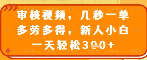 审核视频，几秒一单，多劳多得，新人小白一天轻松3张【揭秘】-云泽轻创网