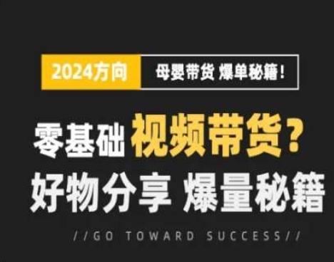短视频母婴赛道实操流量训练营，零基础视频带货，好物分享，爆量秘籍-云泽轻创网