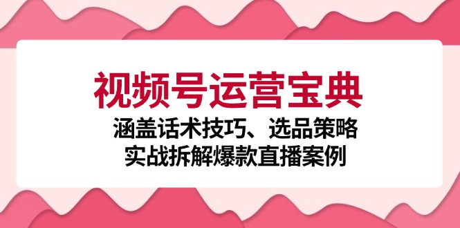 视频号运营宝典：涵盖话术技巧、选品策略、实战拆解爆款直播案例-云泽轻创网