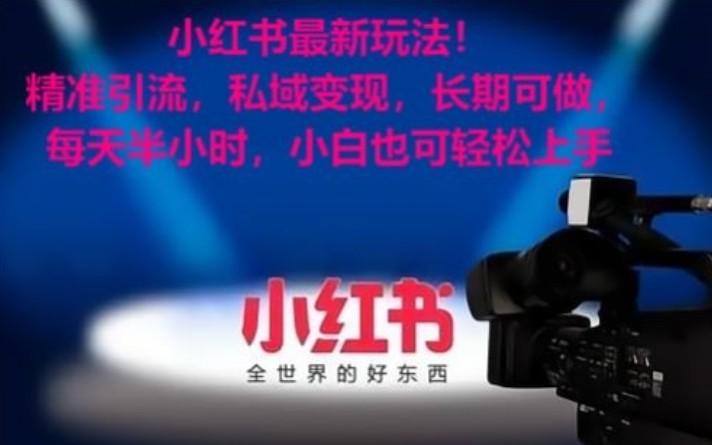 小红书最新玩法!精准引流,私域变现,长期可做,每天半小时,小白也可轻松上手-云泽轻创网