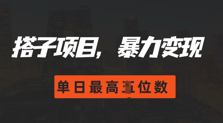 2024搭子玩法，0门槛，暴力变现，单日最高破四位数【揭秘】-云泽轻创网
