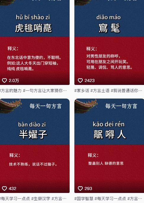 抖音最新涨粉玩法，图文方言暴力涨粉实操，126作品涨粉11W-云泽轻创网